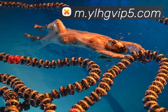 奖项2